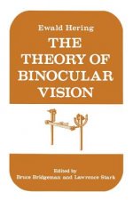 Theory of Binocular Vision