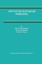 Advanced Database Indexing