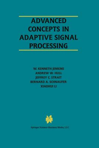 Advanced Concepts in Adaptive Signal Processing