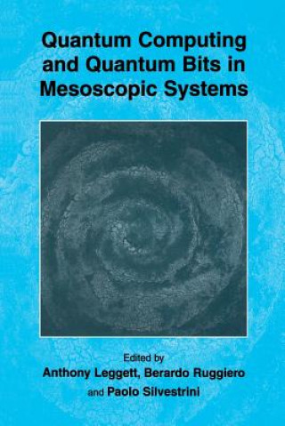 Quantum Computing and Quantum Bits in Mesoscopic Systems