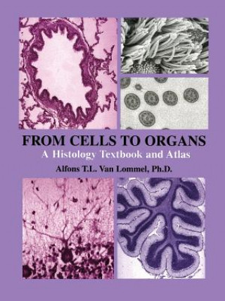 From Cells to Organs