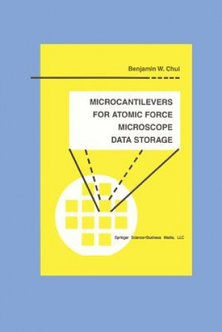Microcantilevers for Atomic Force Microscope Data Storage