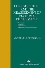 Cost Structure and the Measurement of Economic Performance