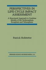 Perspectives in Life Cycle Impact Assessment