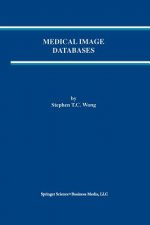Medical Image Databases
