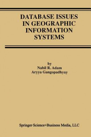 Database Issues in Geographic Information Systems