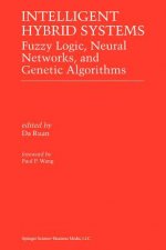 Intelligent Hybrid Systems