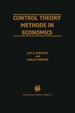 Control Theory Methods in Economics