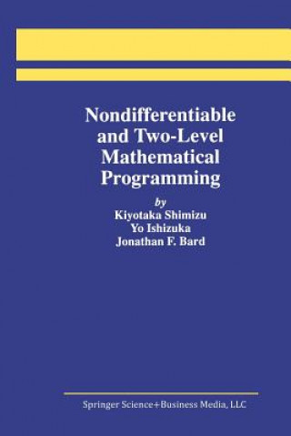 Nondifferentiable and Two-Level Mathematical Programming