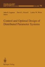 Control and Optimal Design of Distributed Parameter Systems