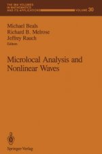 Microlocal Analysis and Nonlinear Waves