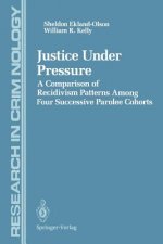 Justice Under Pressure