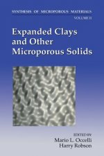 Expanded Clays and Other Microporous Solids