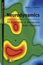 Neurodynamics: An Exploration in Mesoscopic Brain Dynamics