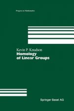Homology of Linear Groups