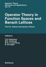 Operator Theory in Function Spaces and Banach Lattices