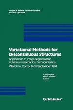 Variational Methods for Discontinuous Structures