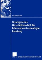 Strategisches Geschaftsmodell der Informationstechnologieberatung