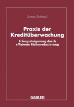 Praxis der Kredituberwachung