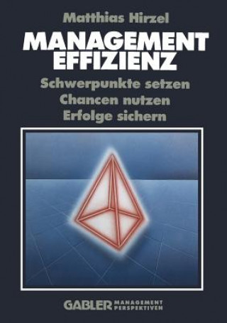 Management Effizienz