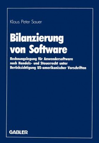 Bilanzierung Von Software