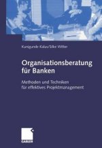 Organisationsberatung F r Banken