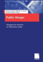 Public Merger