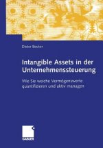 Intangible Assets in der Unternehmenssteuerung