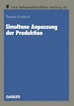 Simultane Anpassung Der Produktion