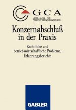 Konzernabschluss in der Praxis