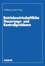 Betriebswirtschaftliche Steuerungs- Und Kontrollprobleme
