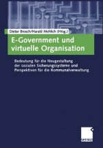 E-Government und Virtuelle Organisation