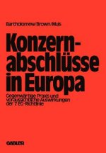 Konzernabschlusse in Europa