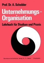 Unternehmungs-Organisation