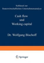 Cash Flow und Working Capital