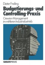 Budgetierungs- Und Controlling-Praxis