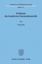 Probleme der konkreten Normenkontrolle,