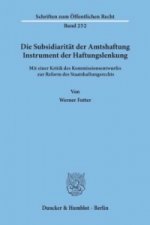 Die Subsidiarität der Amtshaftung - Instrument der Haftungslenkung.