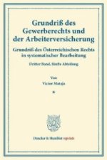 Grundriß des Gewerberechts und der Arbeiterversicherung.