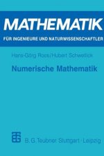 Numerische Mathematik