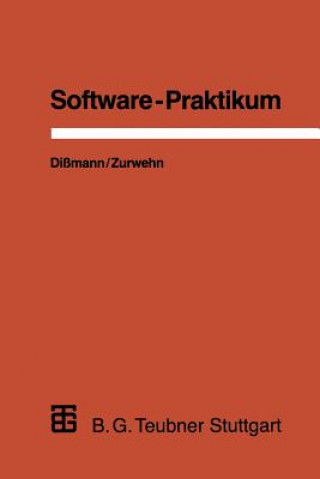 Software-Praktikum