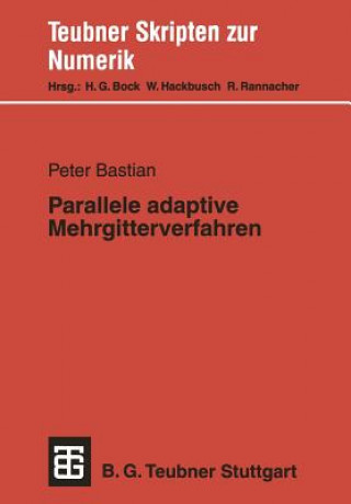 Parallele adaptive Mehrgitterverfahren