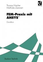 FEM-Praxis mit ANSYS®