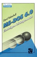 Ms-DOS 6.0
