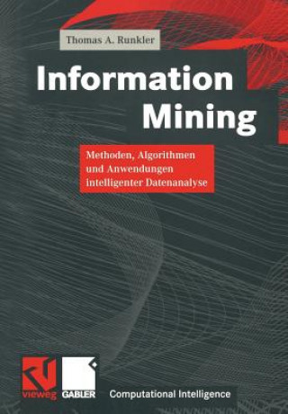 Information Mining