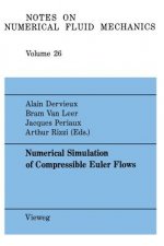 Numerical Simulation of Compressible Euler Flows