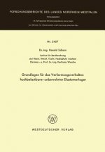 Grundlagen Fur Das Verformungsverhalten Hochbelastbarer Unbewehrter Elastomerlager