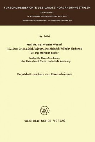 Reoxidationsschutz Von Eisenschwamm