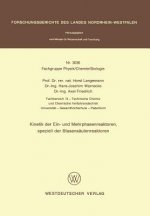 Kinetik der Ein- und Mehrphasenreaktoren, Speziell der Blasensaulenreaktoren