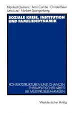 Soziale Krise, Institution und Familiendynamik